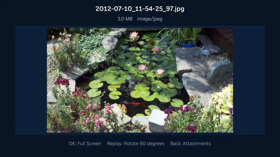 Email App displaying a photo attachment